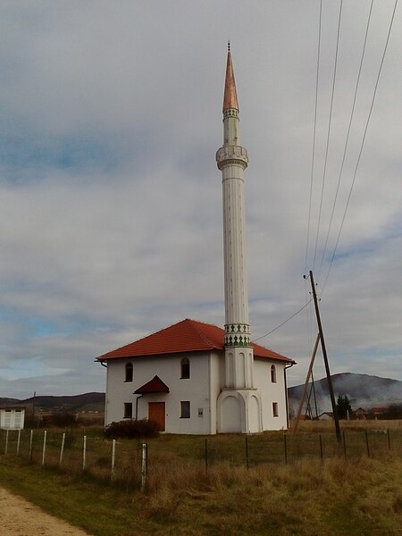 File:Džamija u Novoseocima, općina Sokolac.jpg