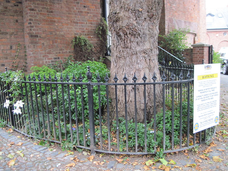 File:DRAPERS HALL AND ATTACHED RAISED PAVEMENT AND RAILINGS 02.JPG