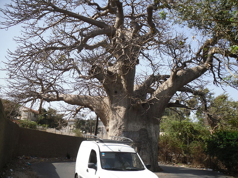 File:Dakar Senegal.JPG