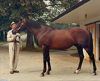 <span class="mw-page-title-main">Damascus (horse)</span> American-bred Thoroughbred racehorse