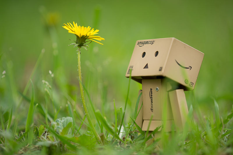 File:Danbo and Dandelion (8727612532).jpg