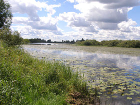 Río Desna en el parque