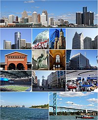Detroit montage 2020.jpg