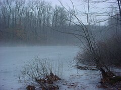 Iblisning vannasi, Mendon suv havzalari bog'i. Monro okrugi, NY.jpg