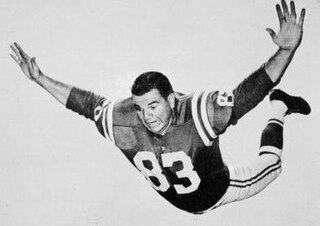 <span class="mw-page-title-main">Don Joyce (American football)</span> American football player and wrestler (1929–2012)