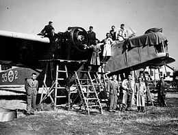 Dornier Do-11.jpg