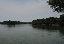 Dümmersee mit Schlossinsel