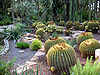 Cactus garden of the Hort del Cura