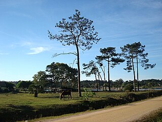 El Pinar, Uruguay Resort of Ciudad de la Costa in Canelones Department, Uruguay