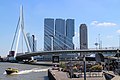 Erasmus bridge 20180630.jpg