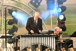 Lindström esiintymässä Vihreät Niityt -musiikkitapahtumassa heinäkuussa 2004.