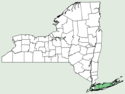 Eupatorium pilosum NY-dist-map.png