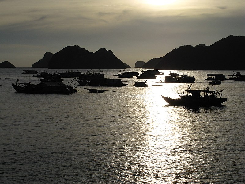 File:Evening at Cat Ba Island (4855914023).jpg