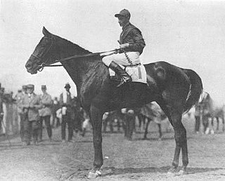 Albert Johnson (jockey)