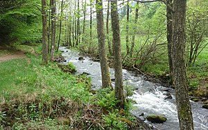 Riserva naturale Eyachtal sopra l'Eyachmühle vicino a Dobel nella Foresta Nera