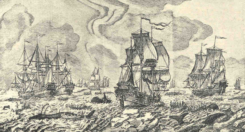 File:FMIB 39769 Northern Whale Fishery (Zorgdrager, 1720).jpeg