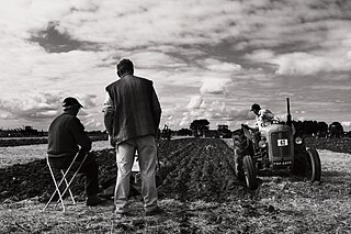 <span class="mw-page-title-main">Ploughing match</span>