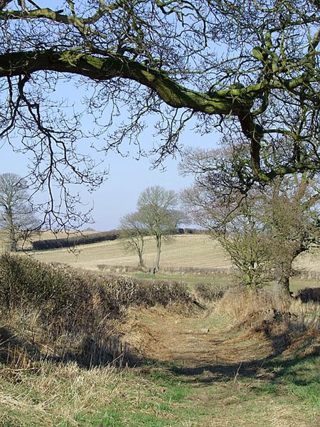 File:Farm track and fields near Seisdon, Staffordshire - geograph.org.uk - 1750485.jpg