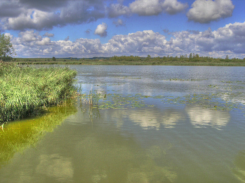 File:Federsee16.jpeg