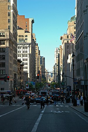 Quinta Avenida: Delimitación geográfica, Historia, A destacar