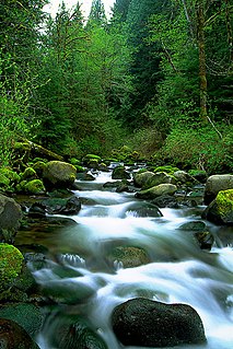 Fir Creek (Bull Run River) river in the United States of America