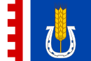 Флаг Хамбурки