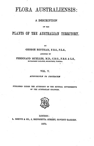 <span class="mw-page-title-main">Bentham's taxonomic arrangement of Dryandra</span> 1870 arrangement of the Australian endemic plant series Dryandra in the genus Banksia