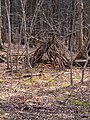 * Nomination Woodpile in a forrest near Binz, Mecklenburg-Vorpommern --MB-one 07:27, 19 July 2024 (UTC) * Promotion Good quality. --ReneeWrites 08:46, 19 July 2024 (UTC)