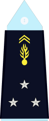 France (Gendarmerie) OF-7.svg