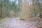 Bergfelder Stadtweg vom Hubertusweg nach Norden gesehen