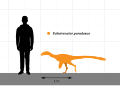 Fukuivenator size comparison