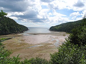 Fundy NP Ņūbransvika 1.jpg