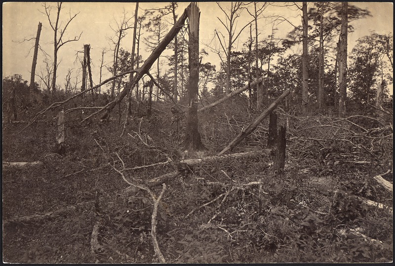 File:Georgia, New Hope Church, Hell Hole, Battlefield of - NARA - 533400.tif