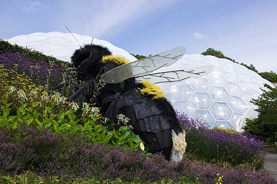 Giant Bee Eden Project