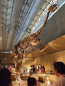 Gigantoraptor (1) .jpg