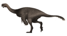 Gigantoraptor erlianensis