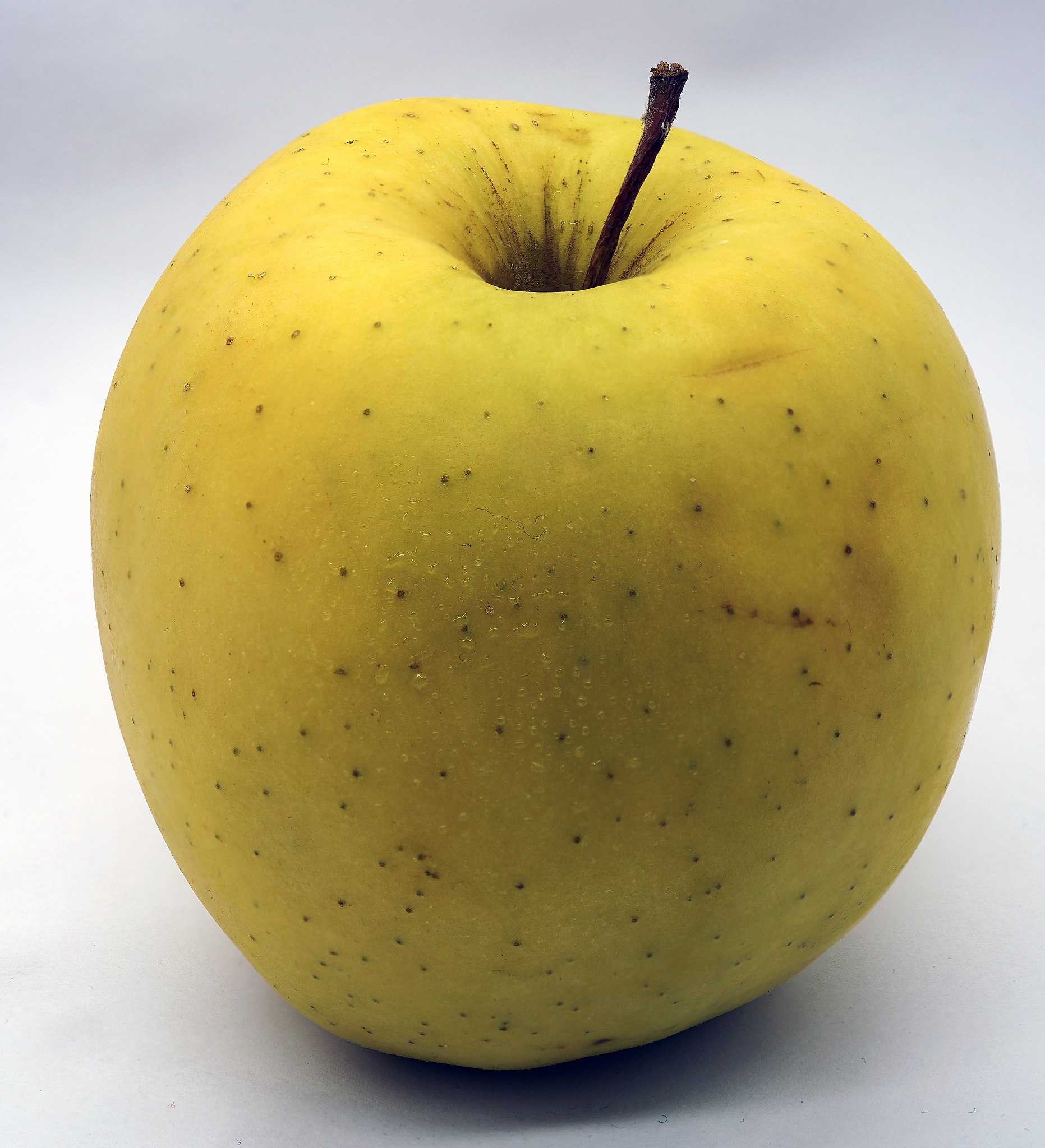 https://upload.wikimedia.org/wikipedia/commons/thumb/5/5a/Golden_Delicious_apple_2021_%282%29.jpg/1863px-Golden_Delicious_apple_2021_%282%29.jpg