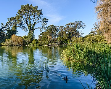 Stow Lake, Golden Gate Park