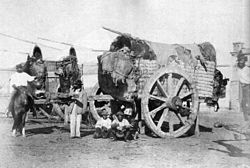 Argentine field wagons (carretas)(1864) were introduced by the Spaniards at the end of the 16th century as transport for passengers and goods. Gonnet carretas 1864.jpg