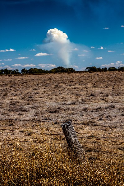 File:Grampians National Park (37112330274).jpg