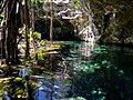 Gran Cenote