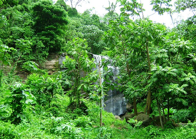 View of Mt. Carmel Falls near St. Andrews Bay in Grenada.