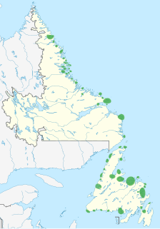 Groswater culture Archaeological culture of Canada