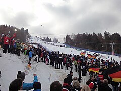 Wereldkampioenschappen 2011 (SL Dames)