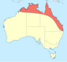 Gynacantha dobsoni distribution map.svg