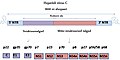 Pisipilt versioonist seisuga 8. jaanuar 2013, kell 17:02