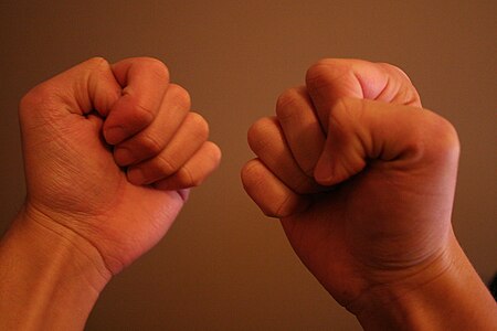 Tập_tin:Hands_in_a_fist.JPG