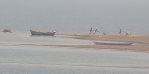 Hirakud Fisherman.JPG