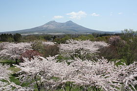 Mori (Hokkaido)