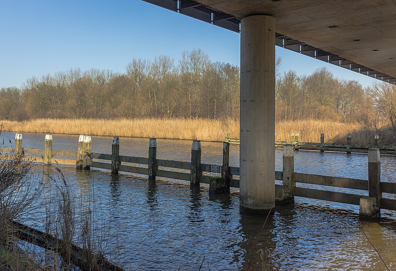 File:Hollandse Hout, natuurgebied in Flevoland. 07-02-2020. (actm.) 06.jpg